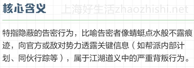 点水严谨表达的含义